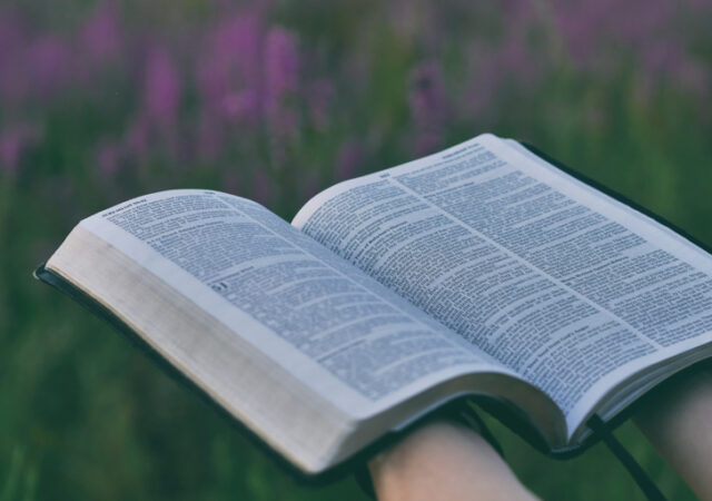 Evangelical Heritage Version