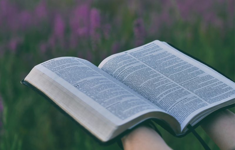 Evangelical Heritage Version