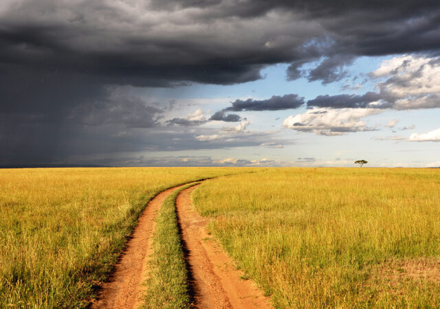 Agricultural Consultancy 2