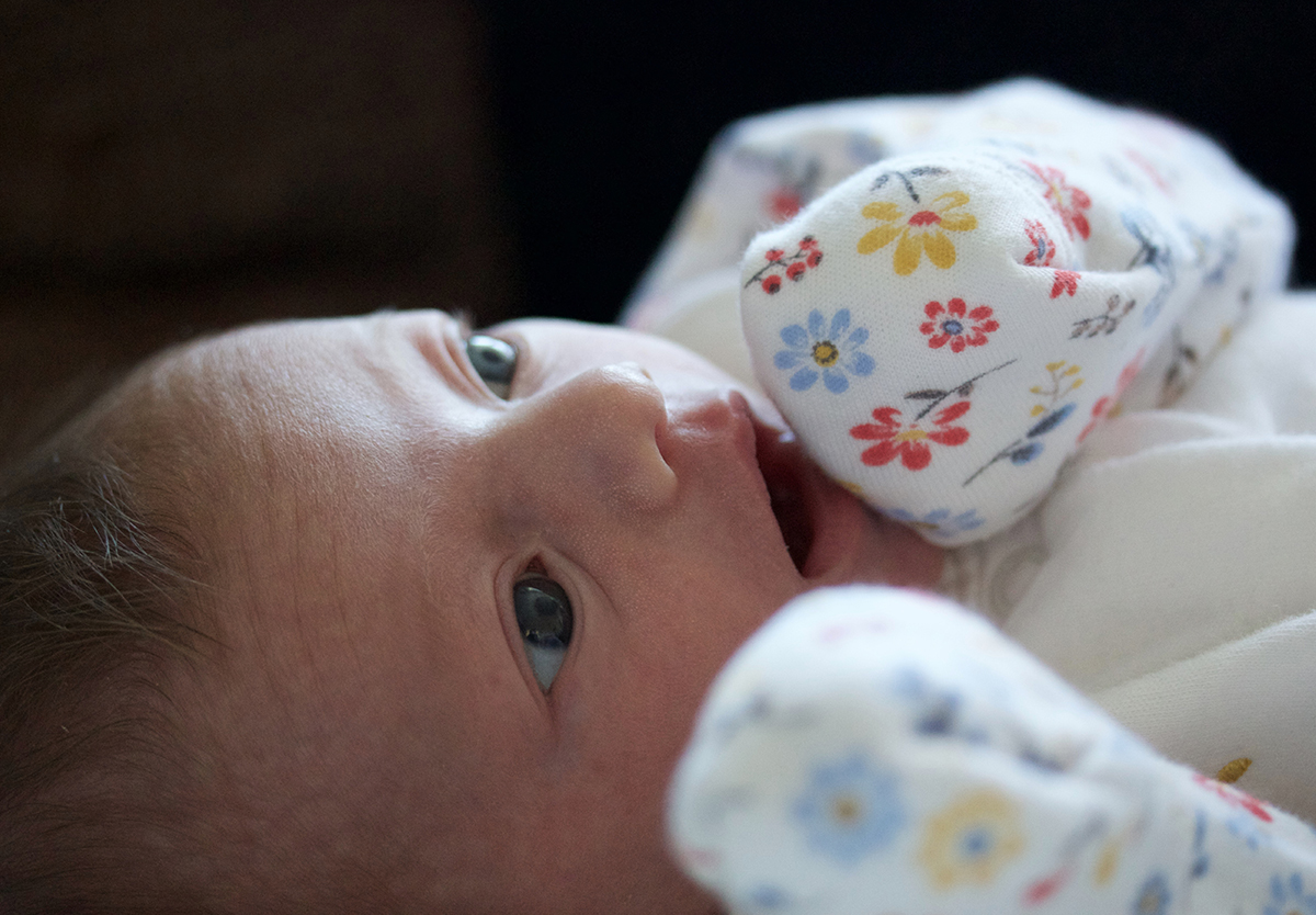 Abortion Facility Illinois