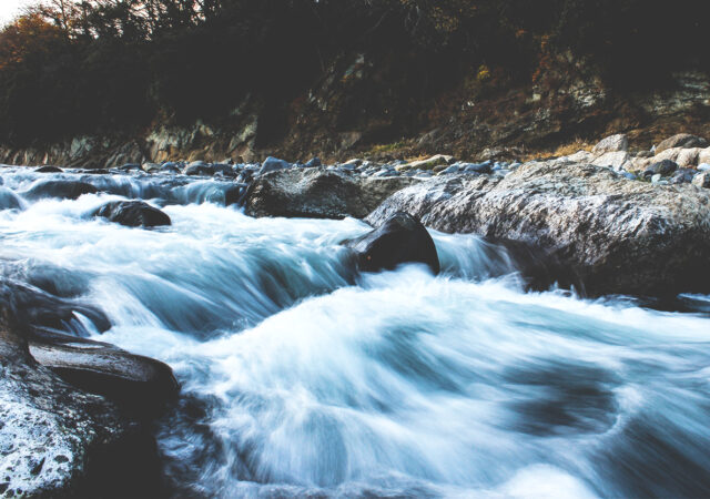 Psalm 29
