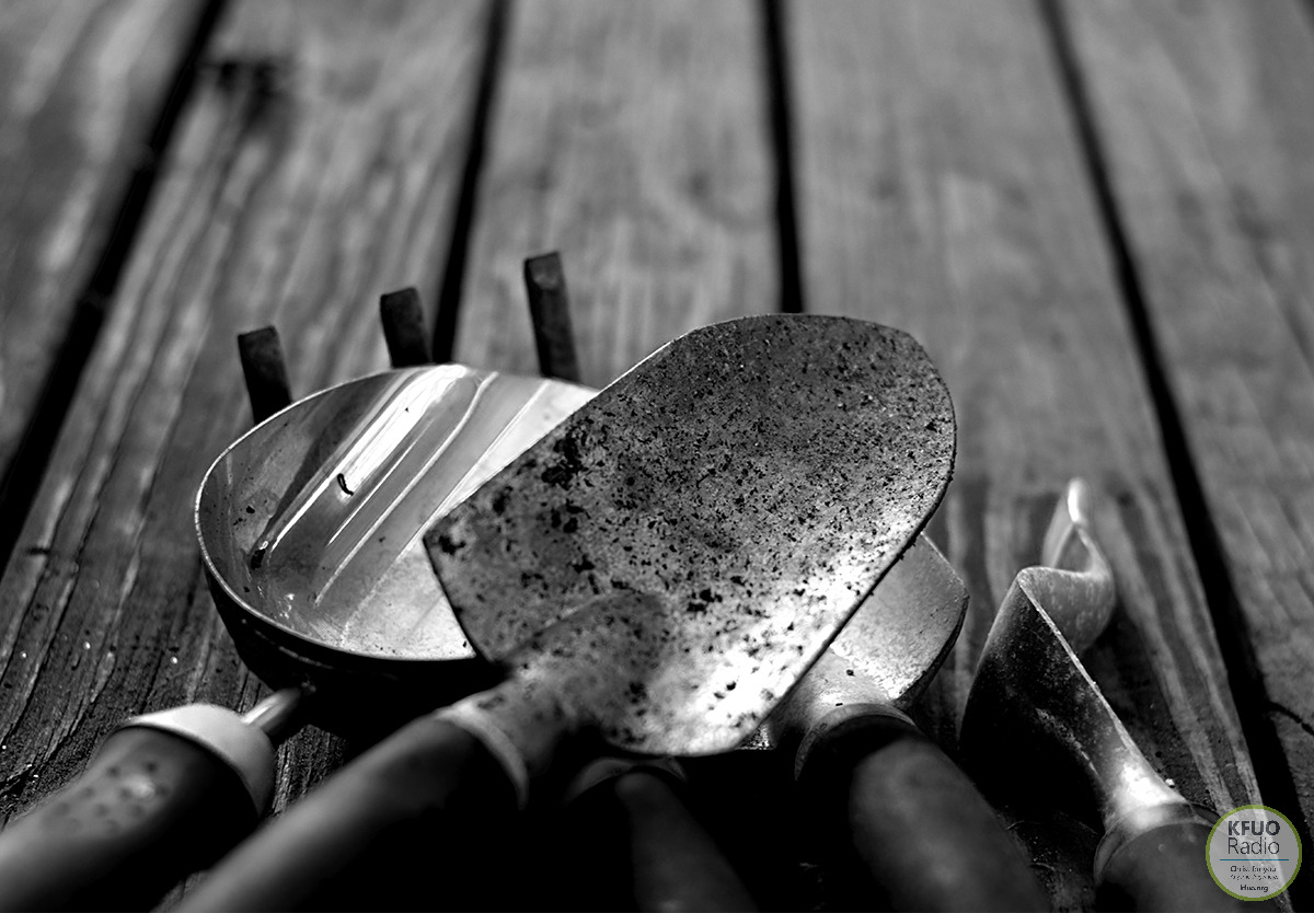 Servant Events Minnesota