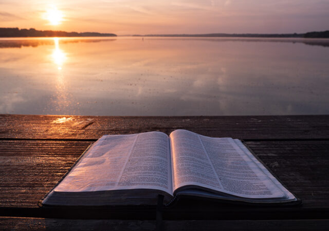 Psalm 33