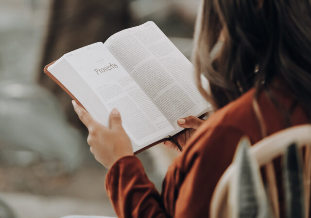 The Idiot's Guide to the Christian Life