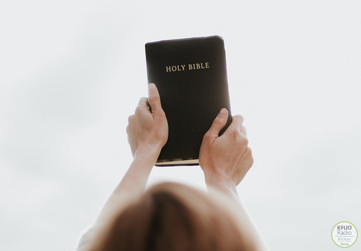 law gospel negative statements