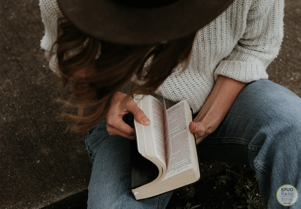 Searching The Scriptures