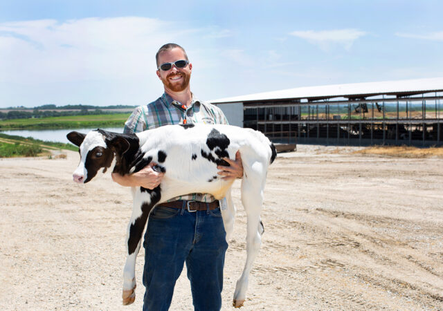 Dairy Farmers