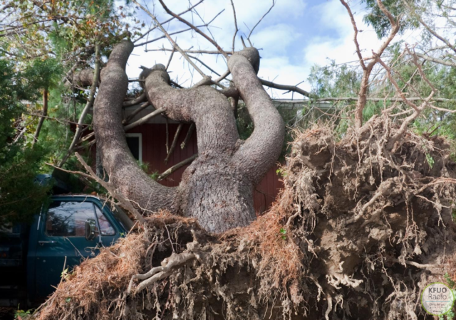 Derecho Damage