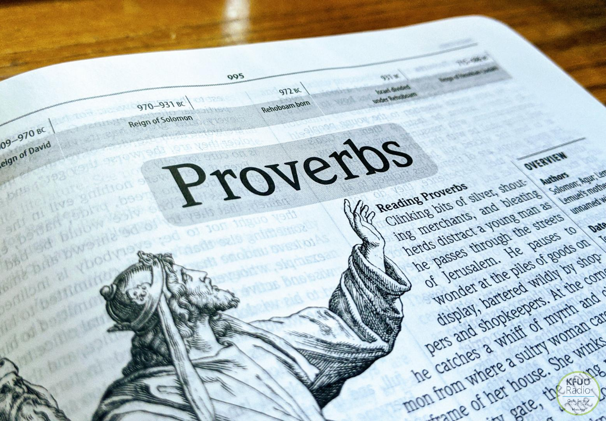 New Series Proverbs
