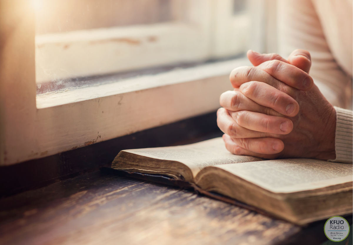 Searching Scripture December