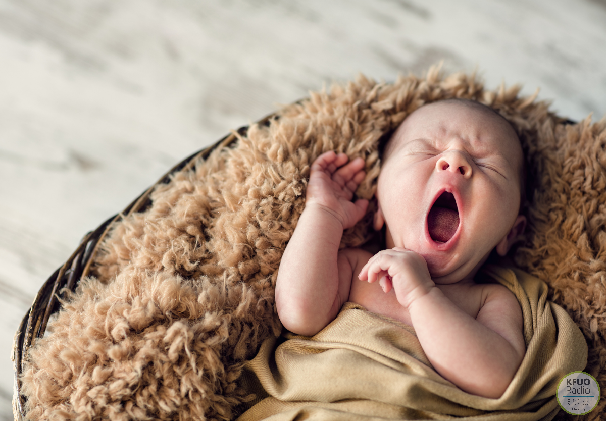 Payment Planned Parenthood