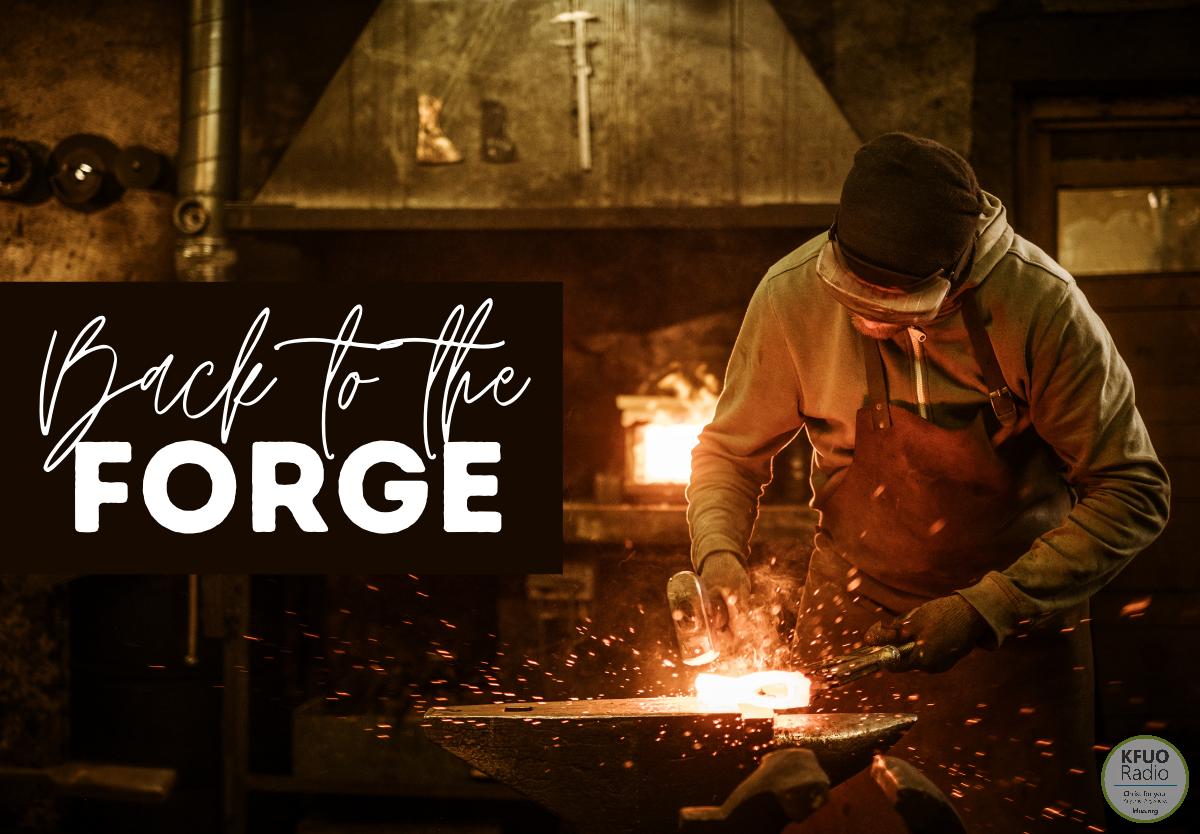 Back To The Forge
