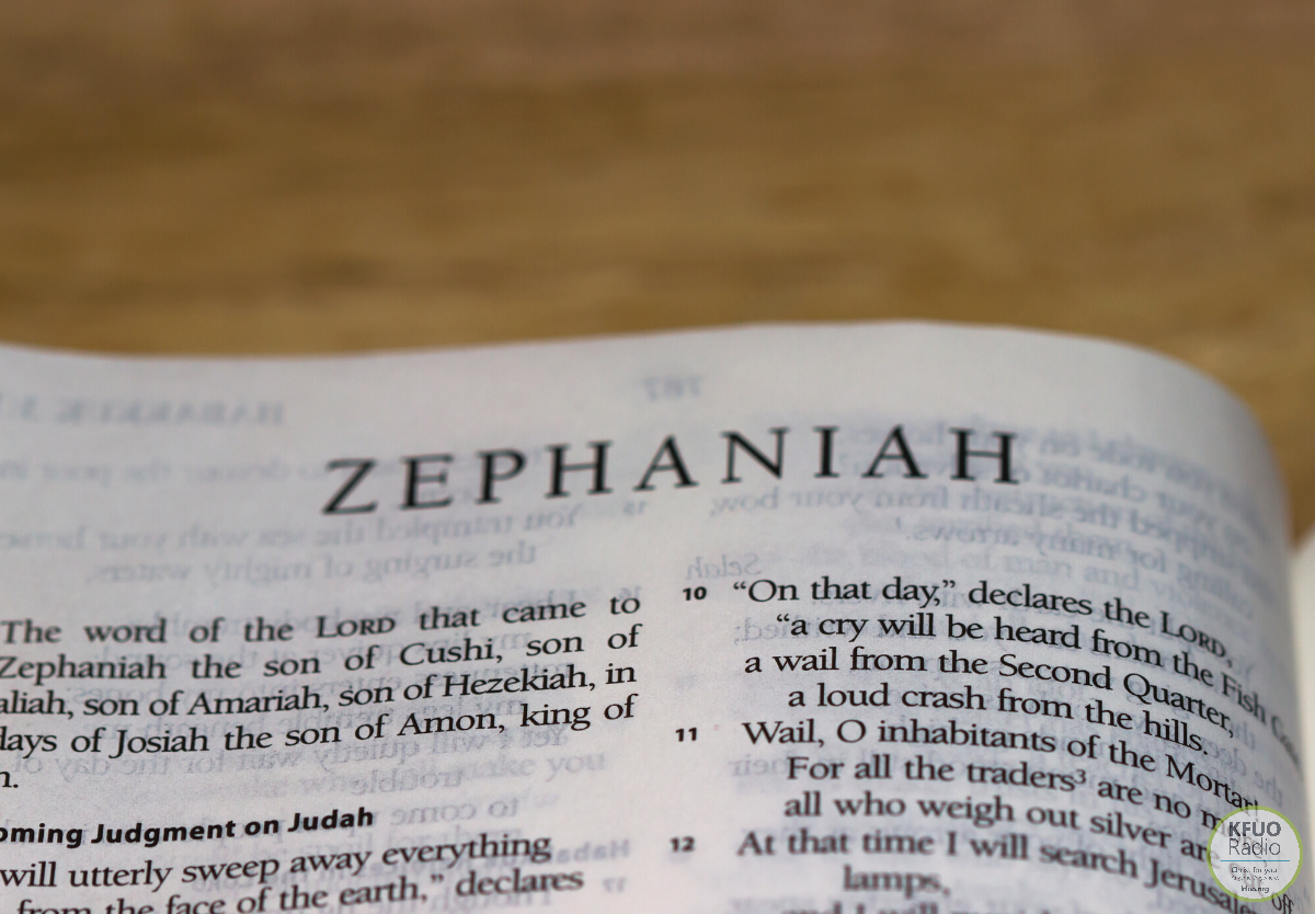 Zephaniah 1:1-13