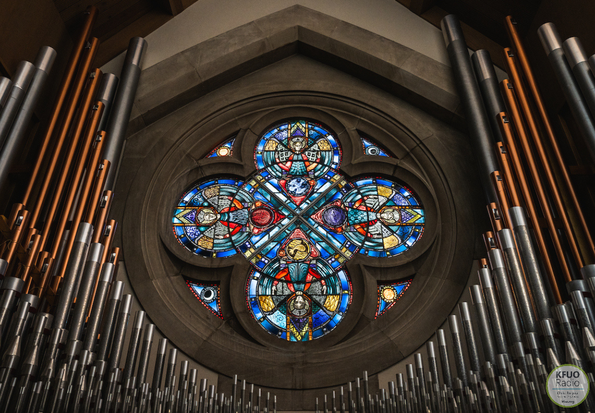 Good Shepherd Institute