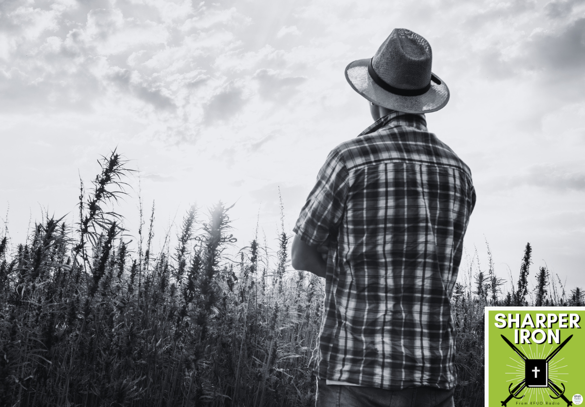 ecclesiastes 2:18-26