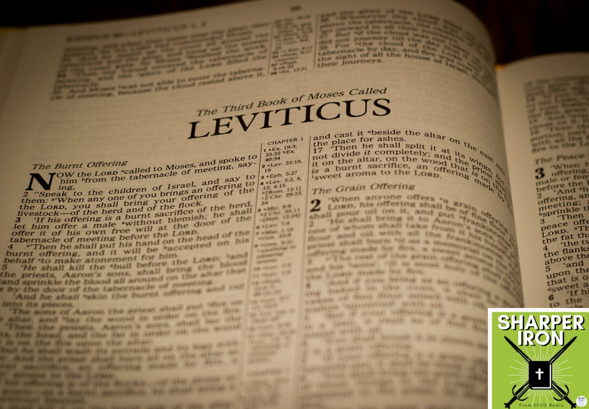 New Series Leviticus