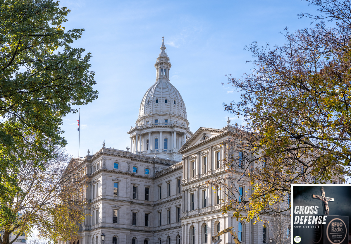 Felony Truth In Love