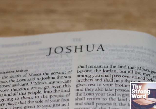 Joshua New Book