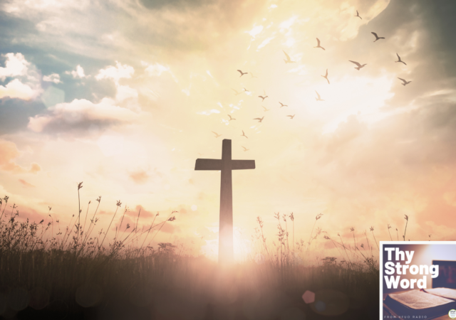 Mark 12:18-44