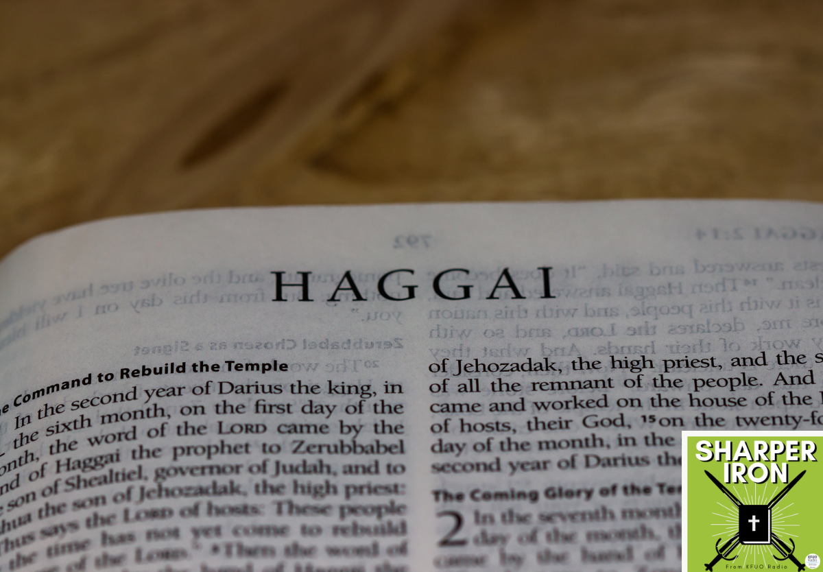 The Post Exilic Prophets