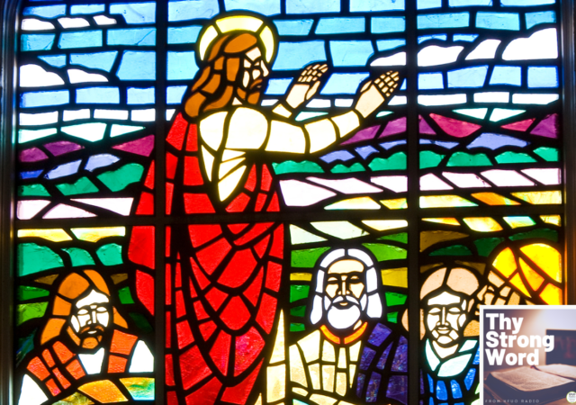Luke 6:1-36