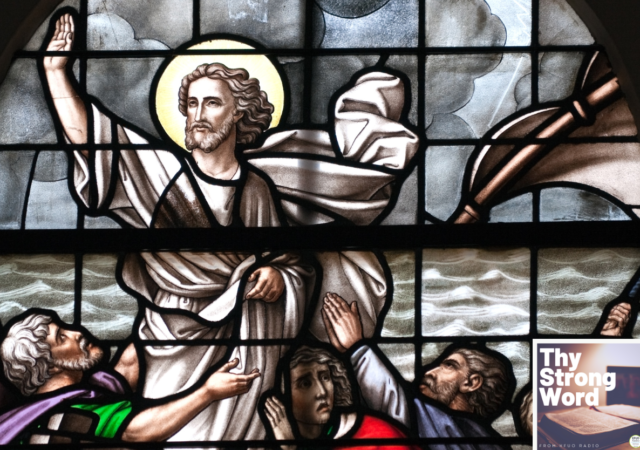 Luke 8:22-56