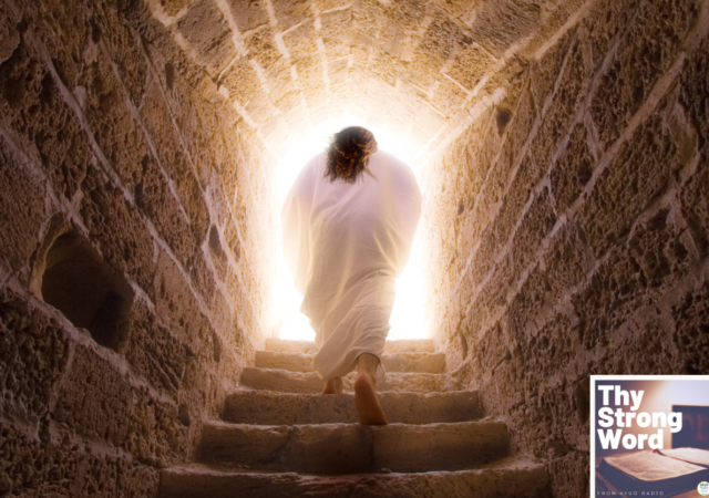 Luke 13