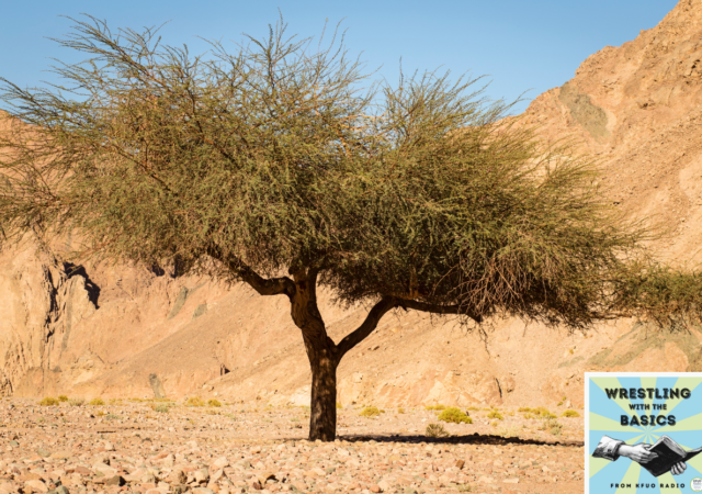 Elijah in the Wilderness