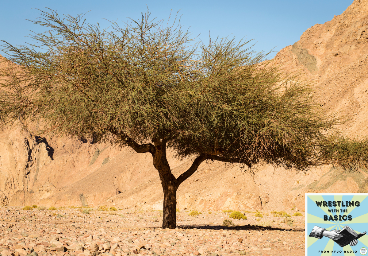 Elijah in the Wilderness